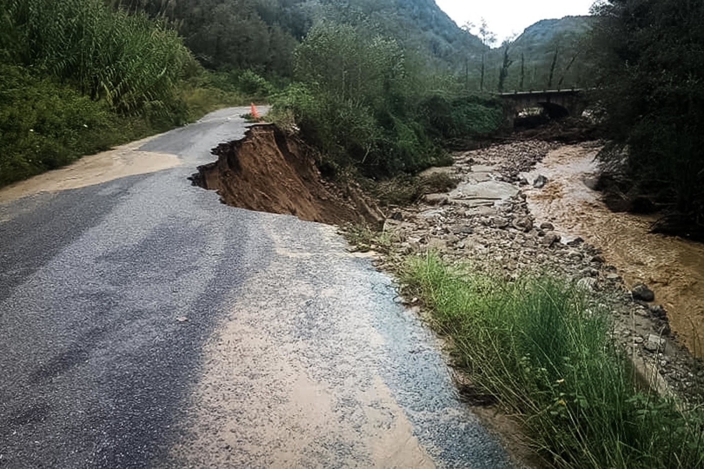 La sicurezza corre veloce sul web