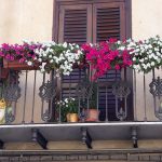 “Una città più gradevole e accogliente” grazie ai profumi e ai colori dei fiori