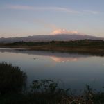 Anche l’Oasi del Simeto  si difende dal climate change