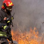 Riserva Saline di Priolo, l’iniziativa del M5s