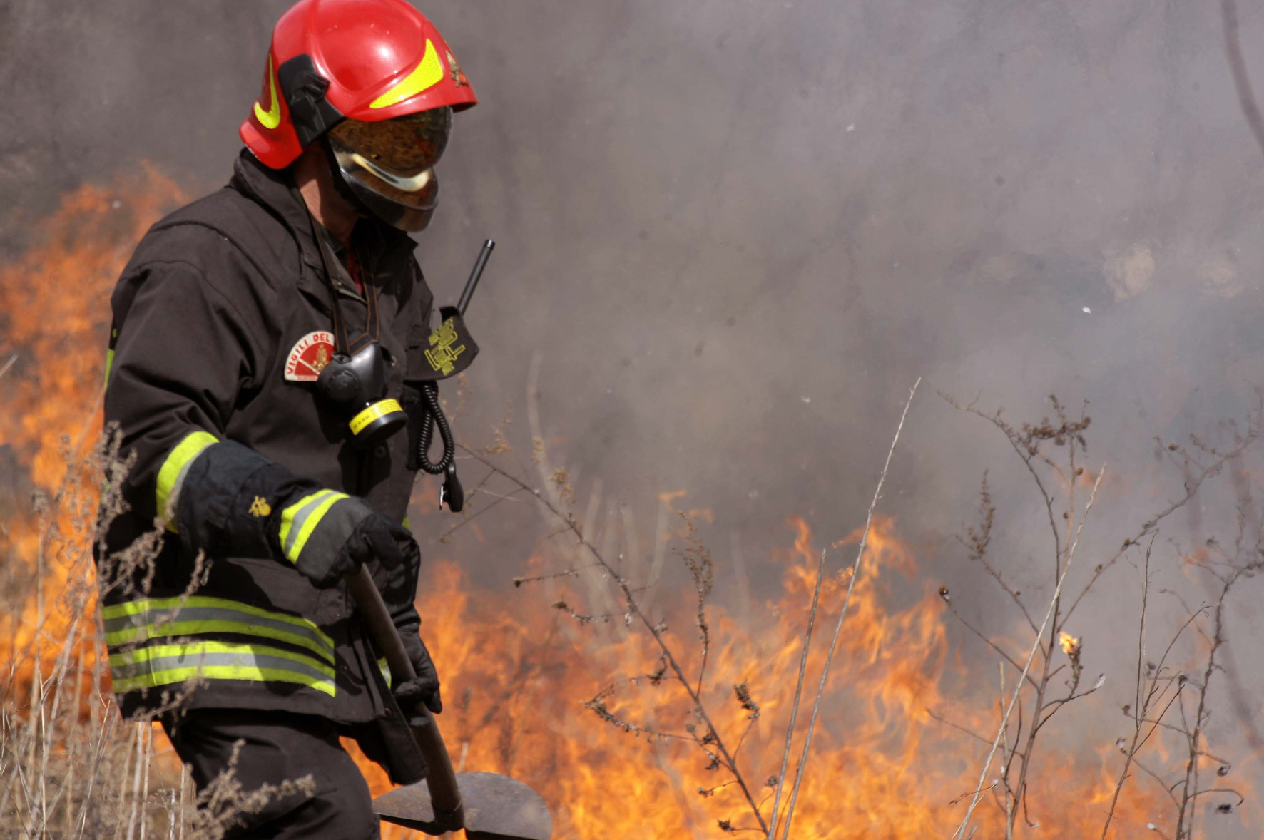 Riserva Saline di Priolo, l’iniziativa del M5s