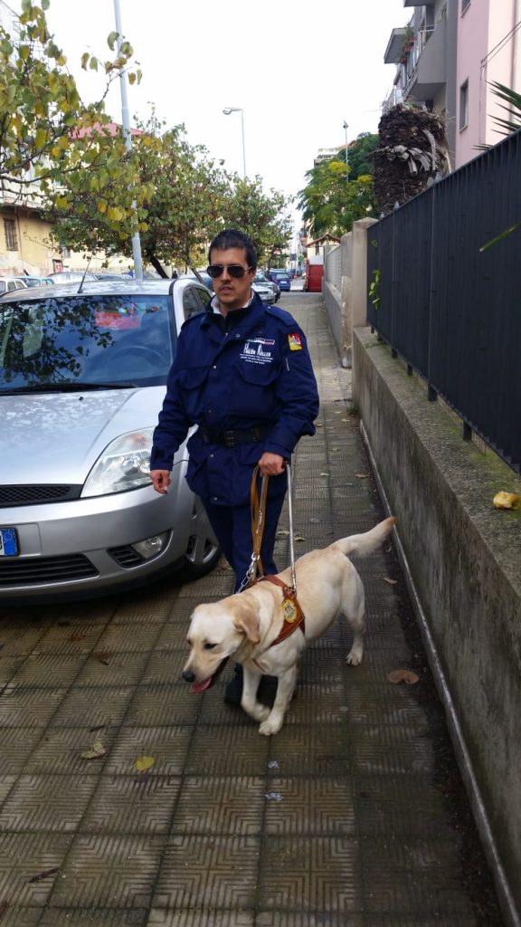 Galleria foto 'Cani guida, rinasce a Messina il Centro Helen Keller' - foto 3