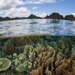 Da Cop27 all’azione contro il cambiamento climatico: ecco a che punto è la Sicilia