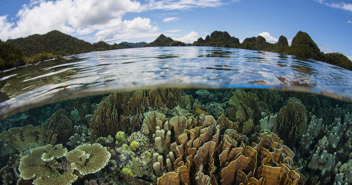 Da Cop27 all’azione contro il cambiamento climatico: ecco a che punto è la Sicilia