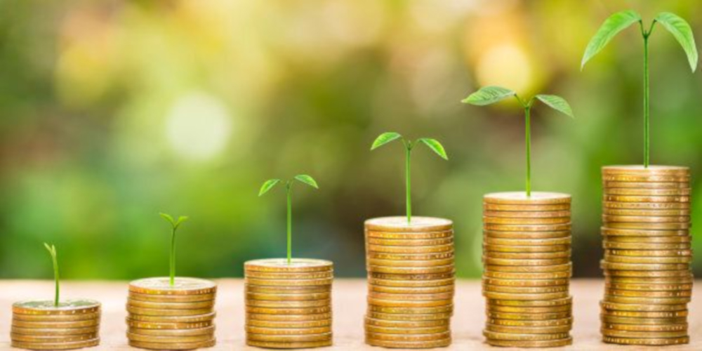 Recovery: “Progetto di lustro”, 5 azioni per una rinascita green Recovery: “Progetto di lustro”, 5 azioni per una rinascita green