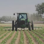 Agricoltura, ristori fino a 15 mila euro alle imprese siciliane colpite dal lockdown