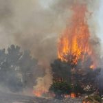 Incendiato nel Nisseno fondo agricolo di proprietà di un avvocato