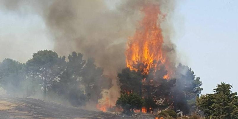 Siracusa tra le fiamme, devastata Riserva naturale delle Saline di Priolo Siracusa tra le fiamme, devastata Riserva naturale delle Saline di Priolo