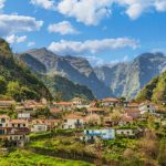 Nella foresta laurisilva gli alberi come colonne