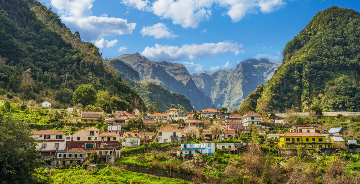 Nella foresta laurisilva gli alberi come colonne