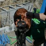 Furti, Polfer scopre una centrale di ricettazione del rame