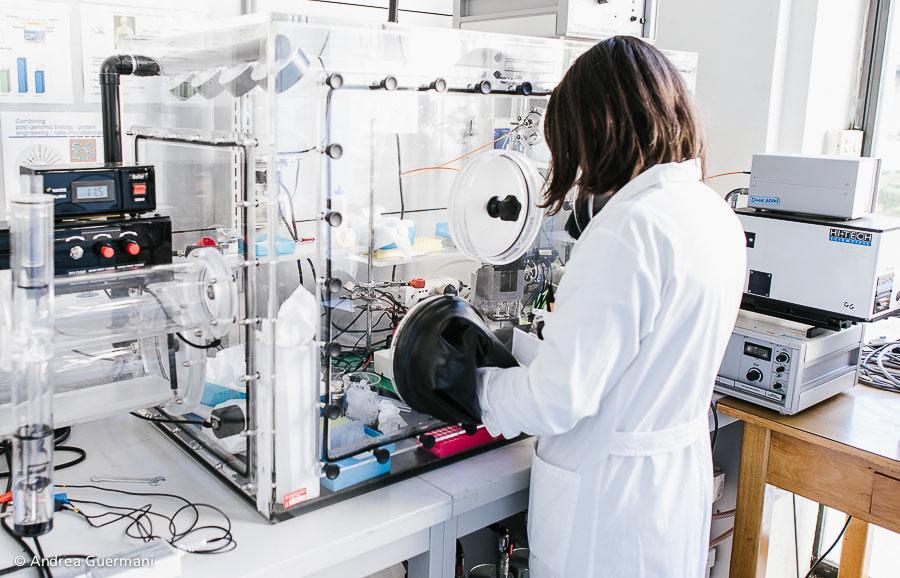 Inail, pubblicato il bando Bric 2019 per la valorizzazione e implementazione della rete scientifica