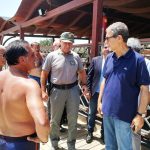 Incendi, Catania, sopralluogo Musumeci alla Plaia