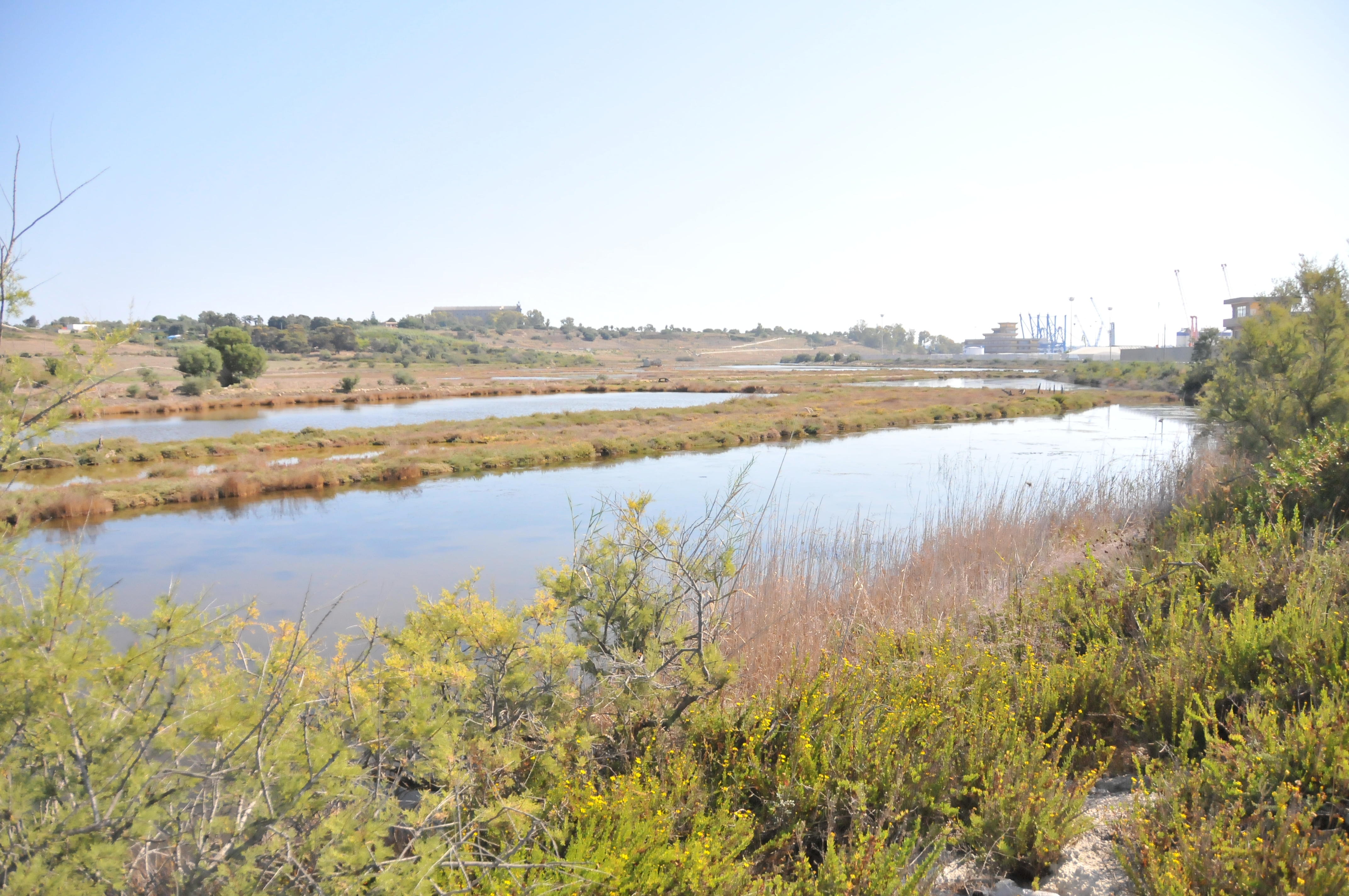 Italia Nostra si rivolge alla Magistratura per tutelare le saline del Mulinello Italia Nostra si rivolge alla Magistratura per tutelare le saline del Mulinello