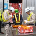 Export: Turchia, Usa, Francia e Paesi Bassi mercati di opportunità per la Sicilia