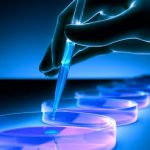 Staminali prelevate dal tessuto adiposo per il trattamento di problemi articolari