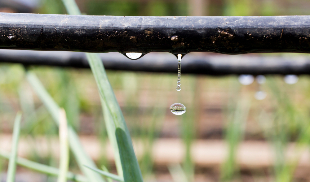 Gestioni reti idriche ai Comuni, sospensiva del Tar che blocca tutto