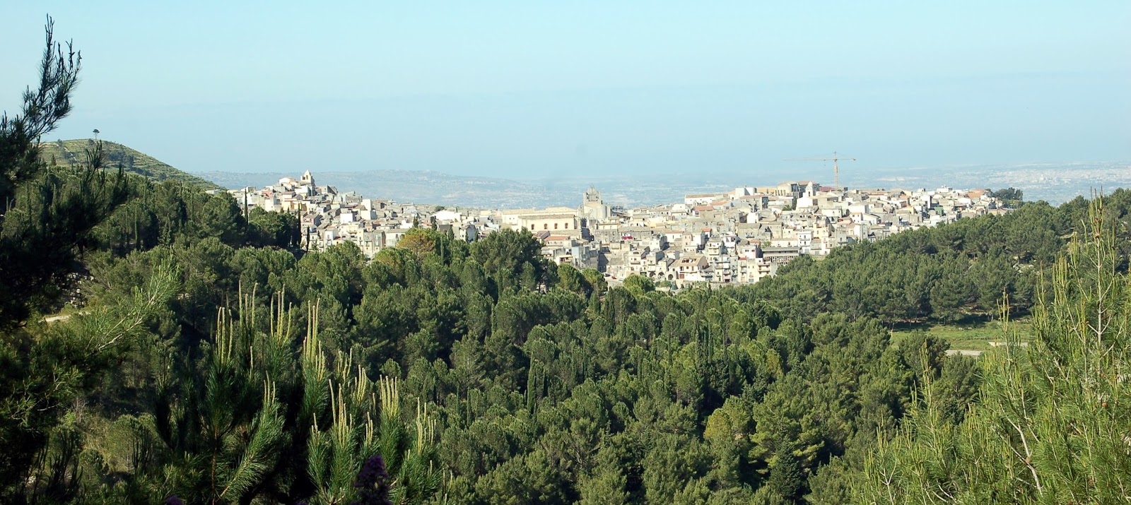 Boschi, il sindaco di Chiaramonte chiede un protocollo d’intesa con i Comuni iblei
