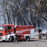 Boschetto della Playa ferito dalle fiamme, “Servono 7,5 milioni per riqualificarlo”