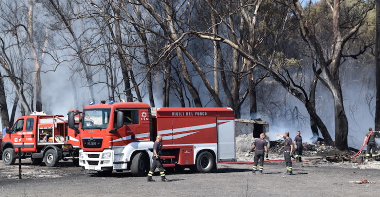 Boschetto della Playa ferito dalle fiamme, “Servono 7,5 milioni per riqualificarlo”