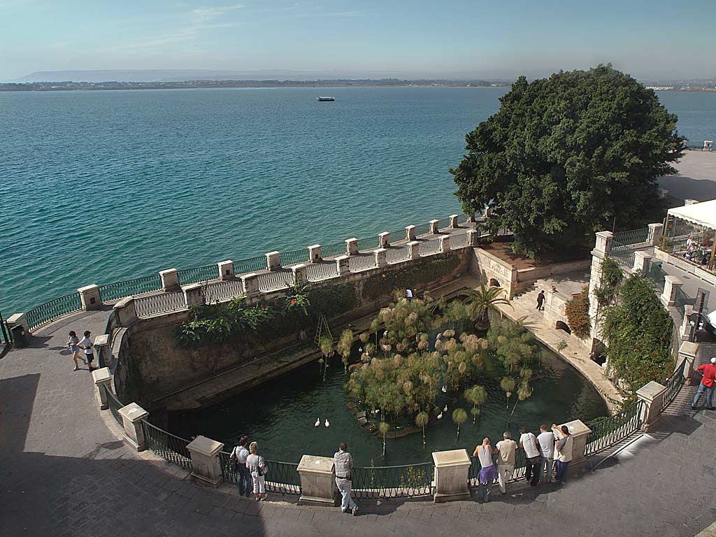 Fonte Aretusa riaperta al pubblico dopo gli interventi di adeguamento Fonte Aretusa riaperta al pubblico dopo gli interventi di adeguamento