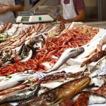 Piccolo prezzo, ma grandi proprietà nutritive. A Gioiosa Marea la “riscossa” del pesce povero