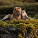 Cinema, torna il Re Leone, ma troppo computer gli nuoce