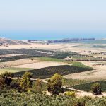 Nella Valle del Belice il tempo  si è fermato: restano solo le macerie