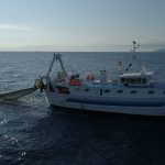 Nuove strategie, progetti e investimenti per rivitalizzare il settore della pesca