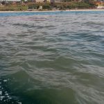 Mare e fiumi inquinati in Sicilia, ecco dove non fare il bagno