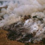 L’Amazzonia brucia, il mondo è a rischio ossigeno