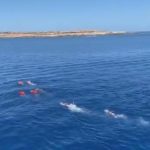 Open Arms, la Spagna offre un porto sicuro e attacca Salvini