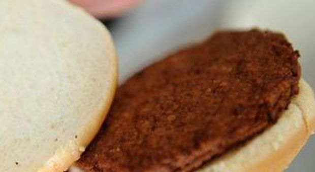 Ambiente, milioni di hamburger da una mucca Ambiente, milioni di hamburger da una mucca