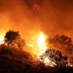 Incendi in Sicilia, al via campagna crowfunding per Parco Madonie