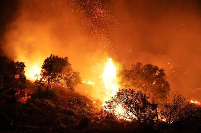 Incendi in Sicilia, al via campagna crowfunding per Parco Madonie
