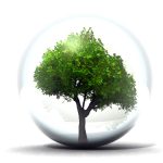 Innovazione verde, bando Enea per imprese