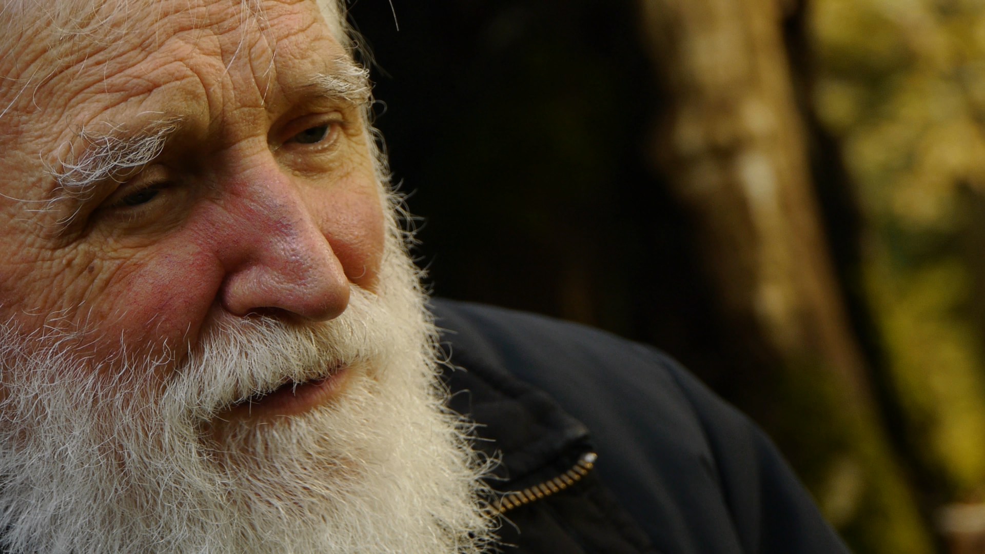 Voci del silenzio, proiezione speciale docufilm su eremiti