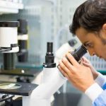 Fegato grasso: scoperto meccanismo di origine nell’intestino