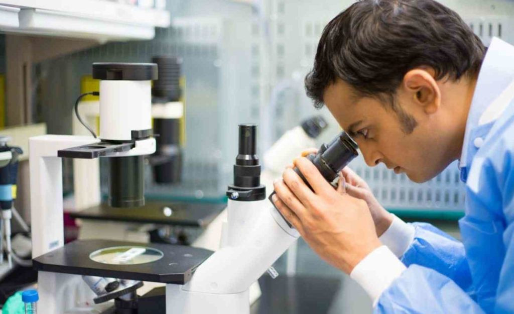 Fegato grasso: scoperto meccanismo di origine nell’intestino