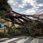 Maltempo, appello del Movimento 5 stelle “Si chieda Stato di calamità per l’ennese”