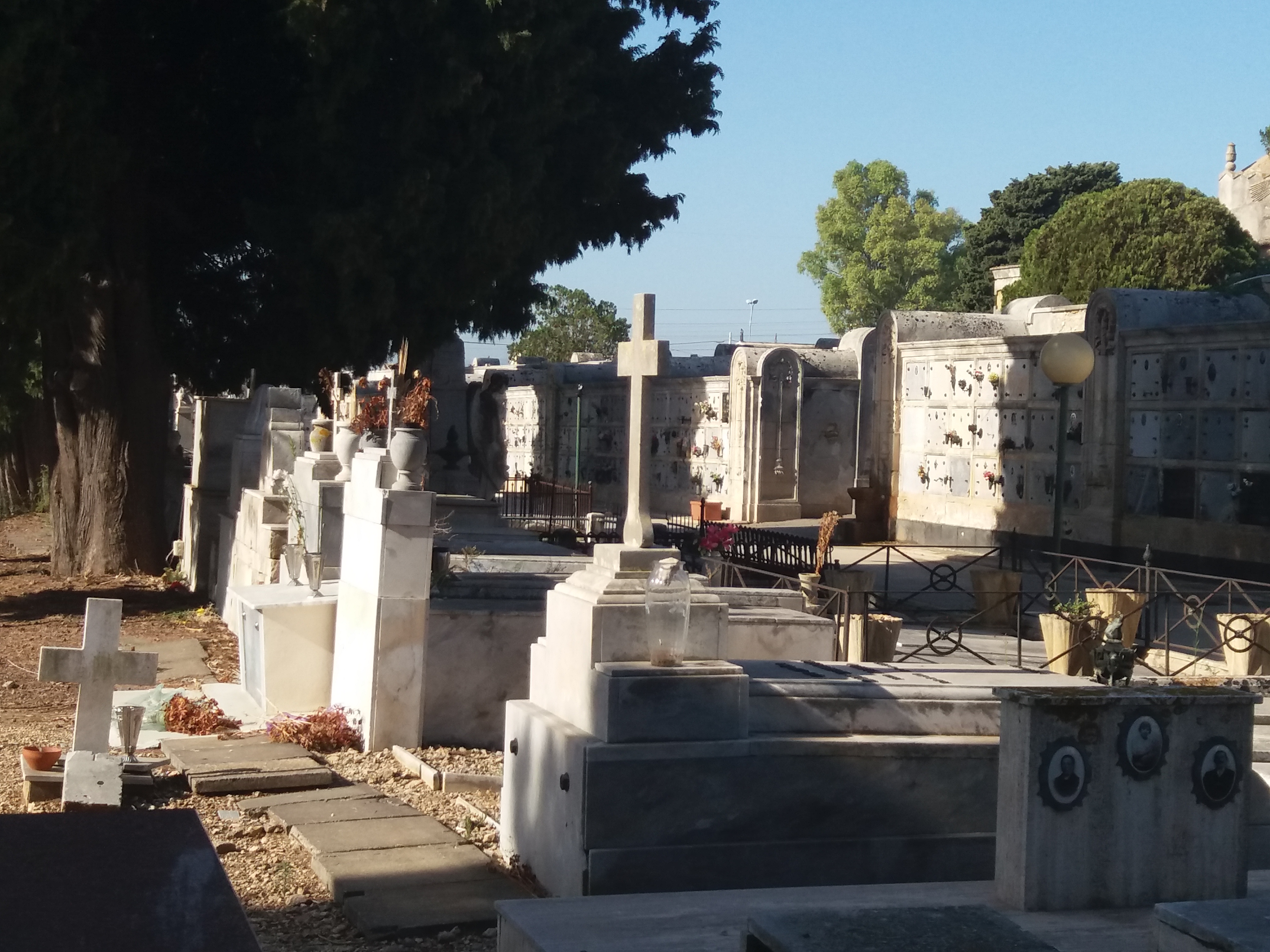 Questione loculi in consiglio comunale: nulla di fatto, bisogna pagare il rinnovo