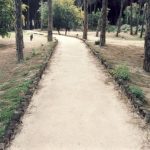 Boschetto Plaia, “l’inquietante coincidenza”, bruciato e messo in vendita a soli 26 mila euro