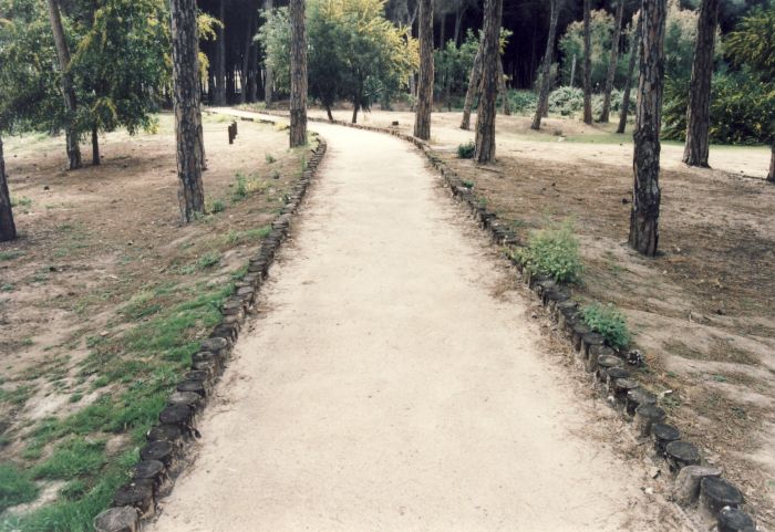 Boschetto Plaia, “l’inquietante coincidenza”, bruciato e messo in vendita a soli 26 mila euro