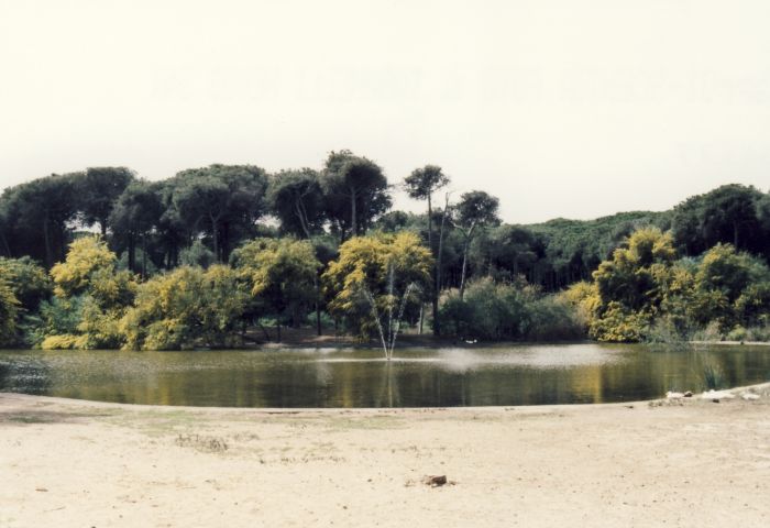 Il Boschetto della Plaia è “salvo”, anzi no. M5S: ancora oltre 22 mila mq in vendita