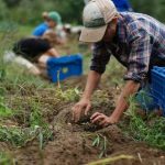 Cgil: “In Sicilia aumenta il lavoro nero ma armi per combatterlo sono spuntate”