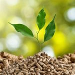 Non c’è soltanto il sole: dal moto ondoso ai rifiuti quelle risorse pulite e infinite che la Sicilia ignora