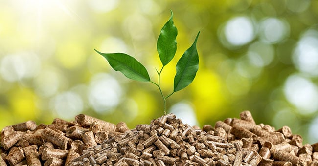 Non c’è soltanto il sole: dal moto ondoso ai rifiuti quelle risorse pulite e infinite che la Sicilia ignora