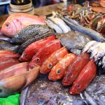 Pozzallo, sequestrati cento chili pesce senza tracciabilità