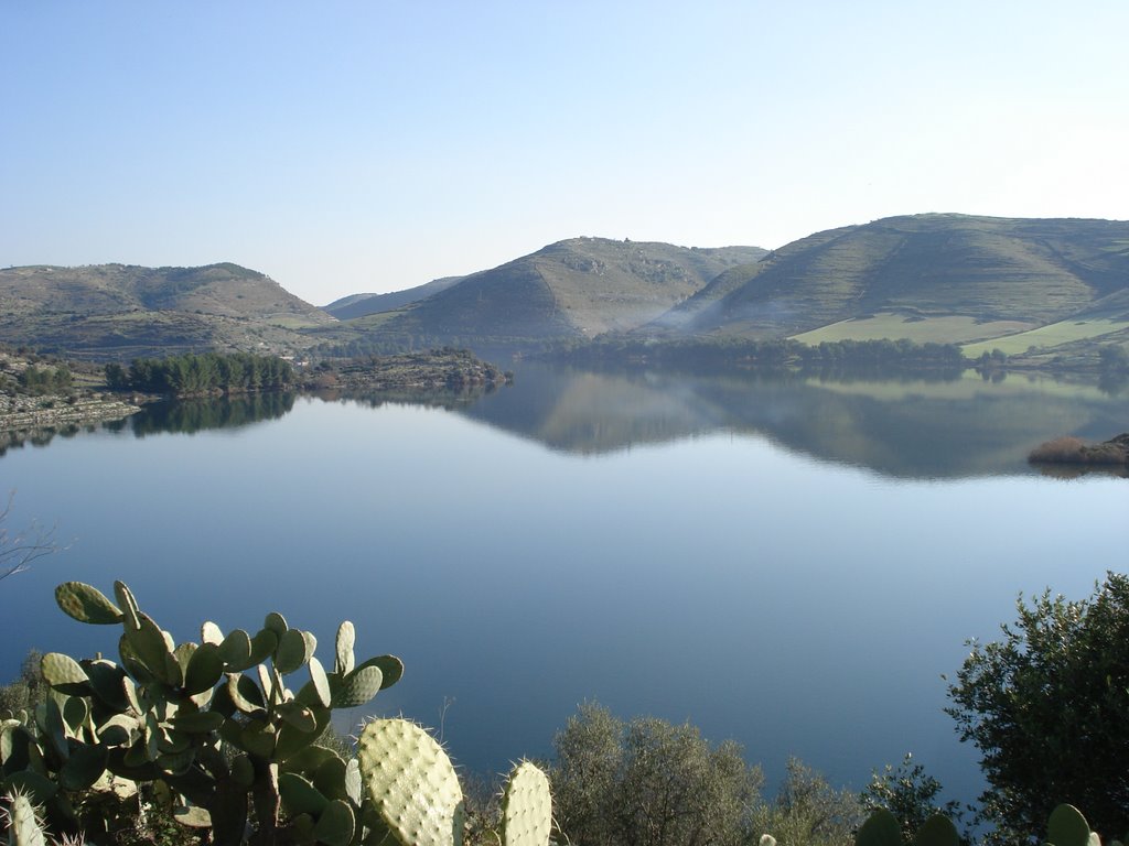 Riqualificazione del lago di Santa Rosalia, Consiglio comunale approva proposta M5s Riqualificazione del lago di Santa Rosalia, Consiglio comunale approva proposta M5s