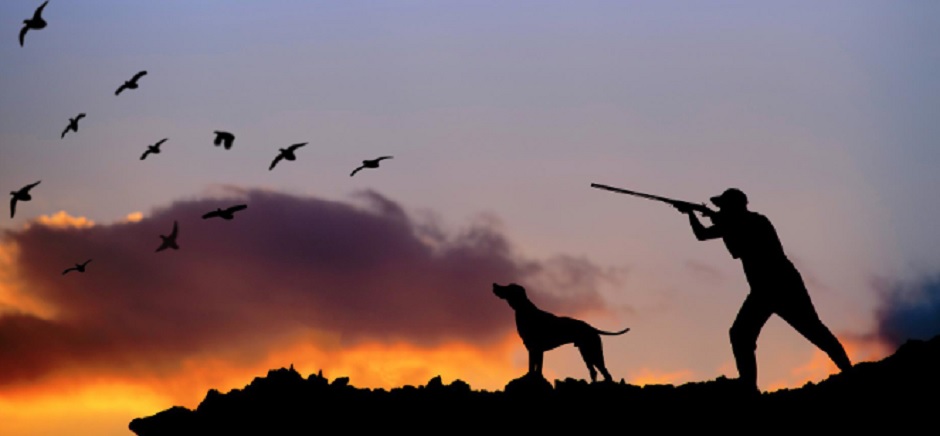 Incendi, ambientalisti chiedono stop caccia per 2021-22